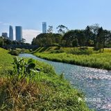 我爱深圳❤️