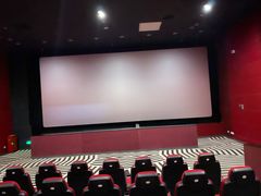 -SFC上影百联影城(八佰伴IMAX店)