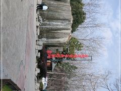 -合肥滨湖国家森林公园