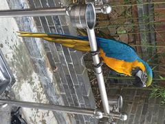 那家小馆(中关村店)-那家小馆•北京菜•烤鸭(中关村店)