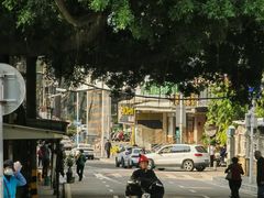 -溪岸路花鸟市场