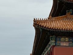 -故宫博物院(故宫)