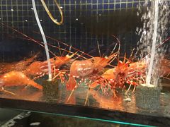 -万鱼亭 日本料理(无锡香山名园店)