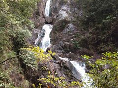 -九龙江国家森林公园