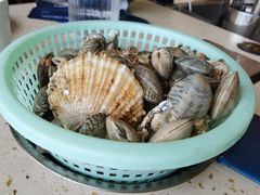 -港畔赶海蒸汽海鲜烧烤自助(仙螺岛店)