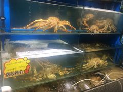 -蚝专家(北滘店)