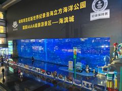 -成都浩海立方海洋公园