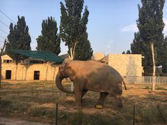 -石家庄市动物园