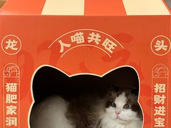 -鱼上·烤鱼(万象城店)