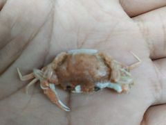 -真素诚(玉泉路总店)