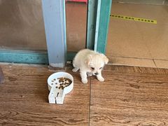 -小六农家乐(崇明西沙湿地店)