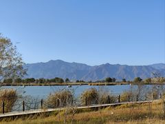 -野鸭湖国家湿地公园