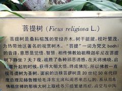 -国家植物园南园