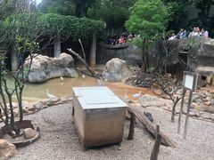 -昆明动物园