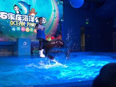 -石家庄海洋公园