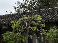 -西山人家·二十年老字号农家菜(旺山店)