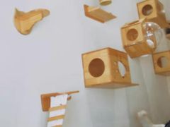 -藏猫猫咖啡主题馆(中央大道店)