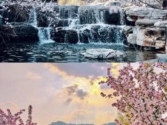 -北京凤凰岭