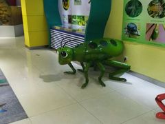 -上海昆虫博物馆