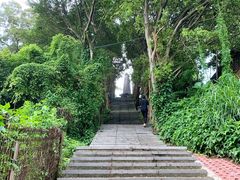 -长洲岛