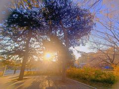 -长春市南湖公园