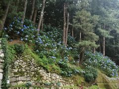 -寂照庵