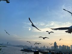 -星海广场