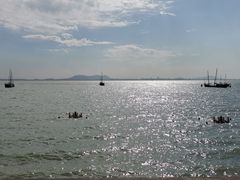 -贡湖湾湿地公园