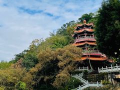 -神光山国家森林公园