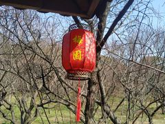 -无锡梅园公园