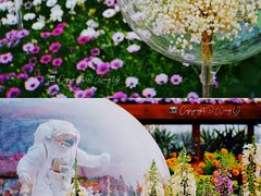 -海心沙亚运公园