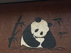 -凤姐面馆