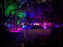 -枫花园汽车电影院(朝阳公园店)