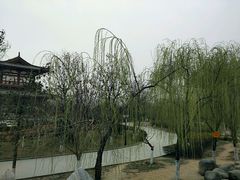-西安青龙寺遗址景区