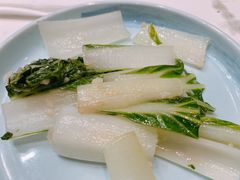 炒青菜-将军日本餐厅·Shogun(厦门马哥孛罗东方大酒店)