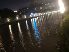 -新湖明珠城