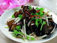 -天鹅到家·保姆月嫂育儿嫂(总店)