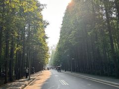 -渡海小渔村.老辈日照菜