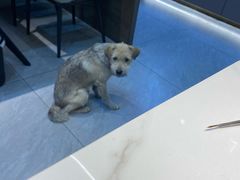-老地方烧烤大排档