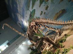 -自贡恐龙博物馆