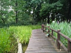 -成都市活水公园