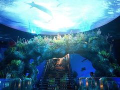 -陕西自然博物馆