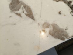 -比格比萨自助(潍坊新辰天地店)