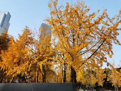 -两江幸福广场