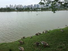 -艾溪湖湿地公园