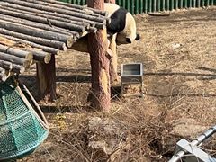 -沈阳森林动物园