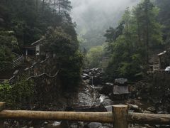 -花岩国家森林公园