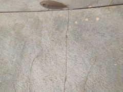 -三亚珠江南田温泉度假区