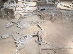 -洛阳周王城天子驾六博物馆