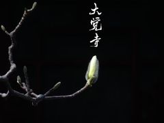 -大觉寺-停车场